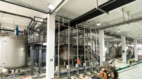 耗資20億的哈佛“長生不老藥”NMN工廠落戶寧波余姚，是科學突破還是網絡工程？