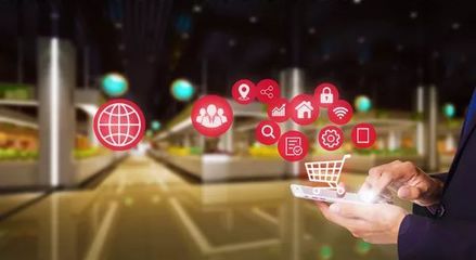 快消品零售商的實證案例研究 購物系統(tǒng)的視角